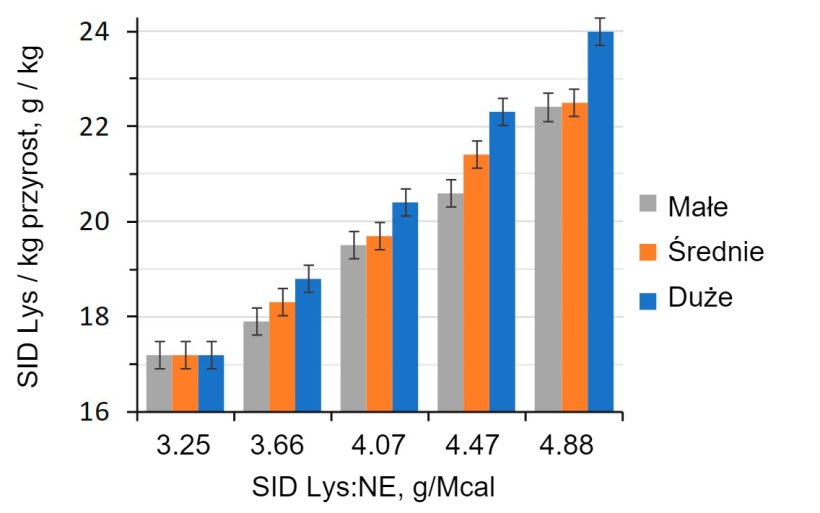 Rysunek 1. Wpływ zawartości lizyny na energię w paszy u tuczników (28-63 kg masy ciała) posortowanych według wagi wyjściowej. (Aymerich i in., 2020).